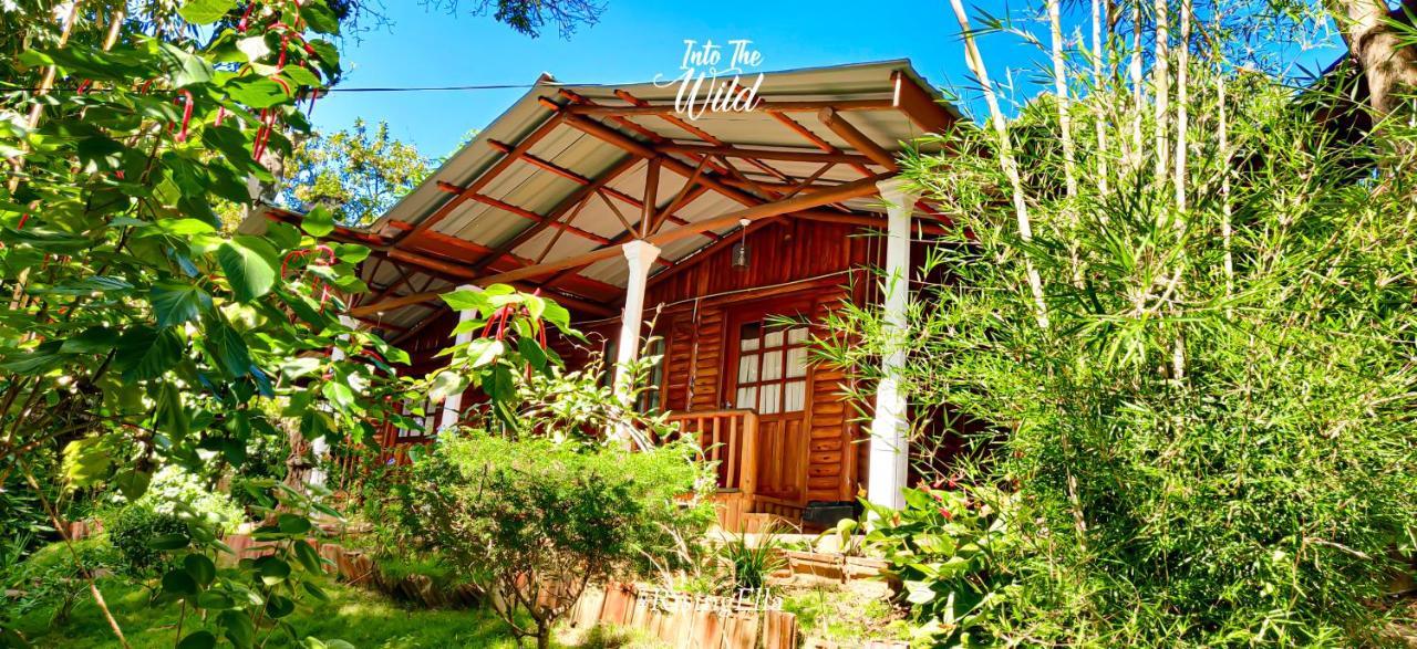 Little Folly Hotel Ella Exterior foto